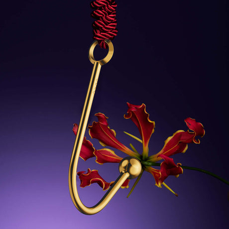 UPKO UPKO Vaginal/Anal Hook at $39.99