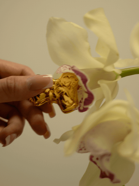 Hand holding a gold bowknot binder clip style nipple clamp near a white orchid flower.