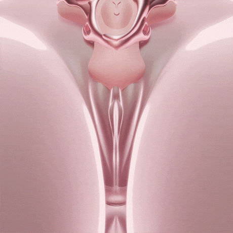 Wearable Panty Vibrator with Egg Vibe by Ueros design showing a feminine anatomical representation for enhanced pleasure.
