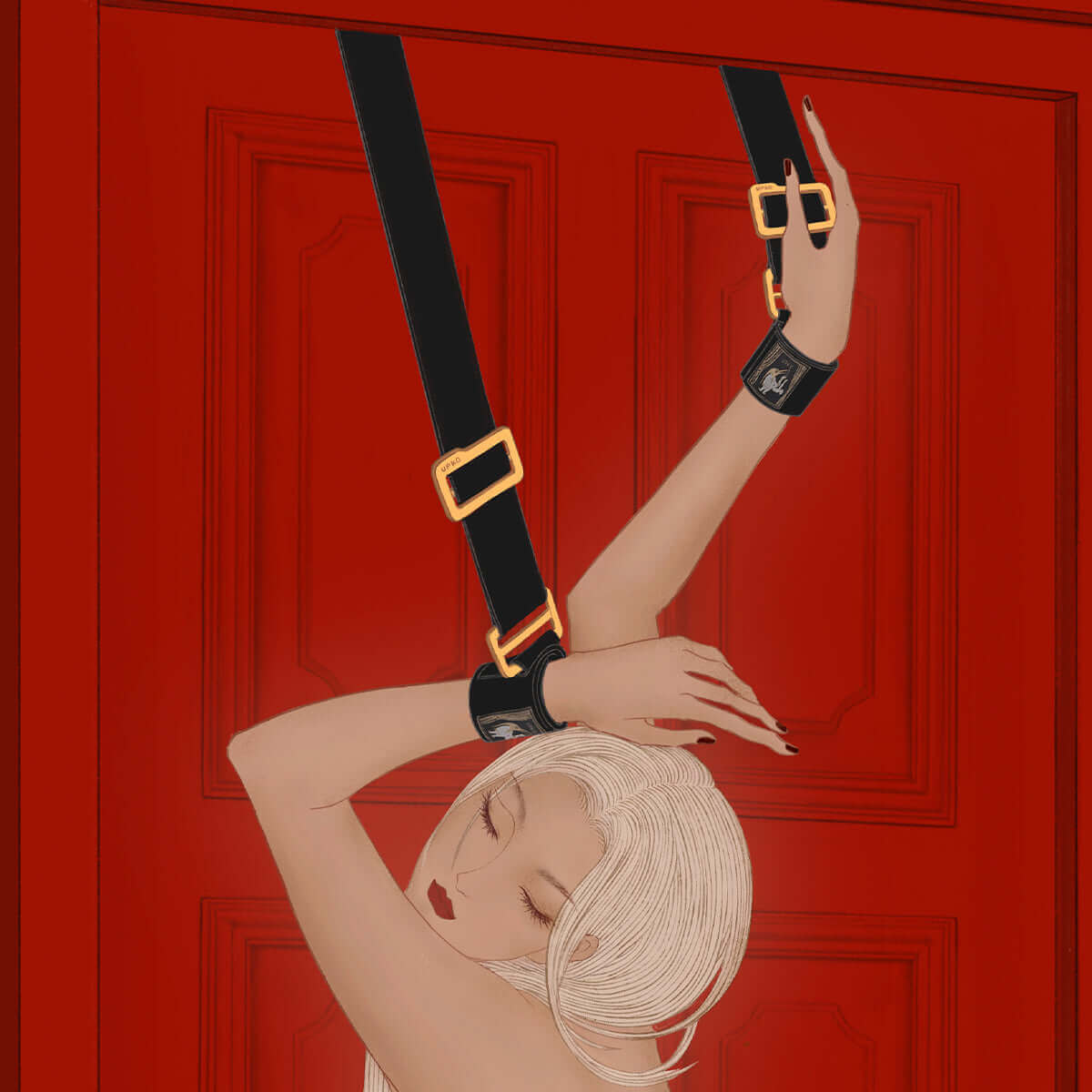 UPKO Over the Door Hand Restraints