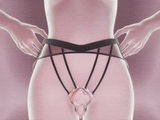 Wearable Panty Vibrator with Egg Vibe by Ueros showcased on model, designed for seamless stimulation and pleasure.