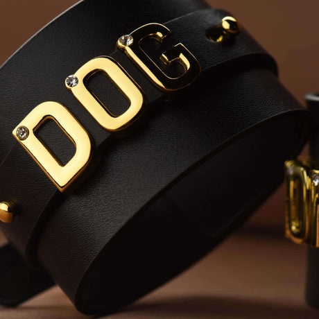 FUCK ME Luxury Italian Leather Handcuffs by UPKO with gold accents and studs, showcasing elegance and sensuality.