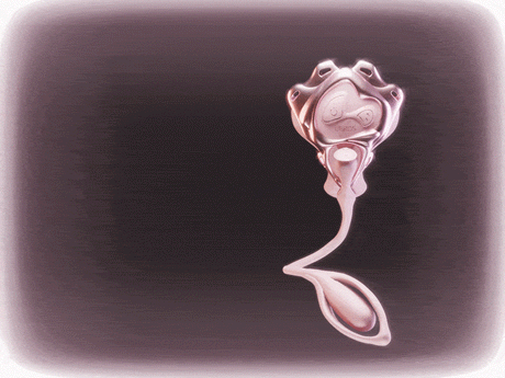 Wearable Panty Vibrator with Egg Vibe by Ueros, featuring a sleek, ergonomic design for pleasurable stimulation.