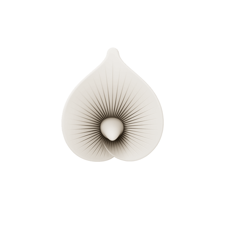 ZALO Calla Dual-Head Vibrating Wand in Blossom Pink, designed like a Calla Lily, for discreet personal massage.